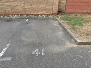 Photo 11- click for photo gallery